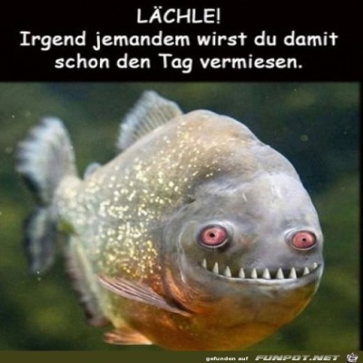 L&auml;chle.jpg von Keule56