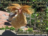 Haben sie gesagt
