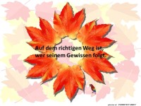 Auf dem richtigen Weg ist