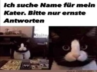 Name gesucht