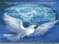 Kleine wei�e Friedenstaube