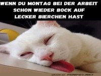 Montag bei der Arbeit