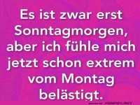 Vom Montag belästigt