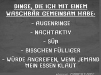 Das k�nnte ich sein