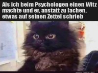 Schwarze Katze in lustigem psychologischen Kontext