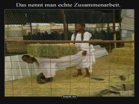 Menschliche Schubkarre