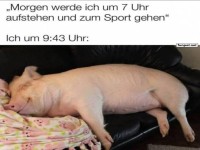 Frhes Aufstehen ist nichts fr uns!