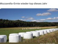 Schnell zur Mozzarella-Farm!