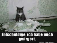 Katzen-Design: Tapete ist jetzt Kunst!