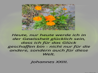 heute, nur heute werde ich in der gewissheit