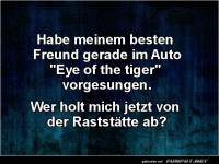 Ich habe gesungen