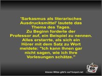 'Sarkasmus als literarisches Ausdrucksmittel' lautete das...