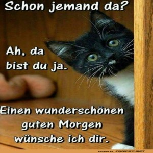 Schon-jemand-da?.jpg von Lennox44