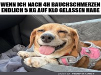 Befreiender Toilettenmoment