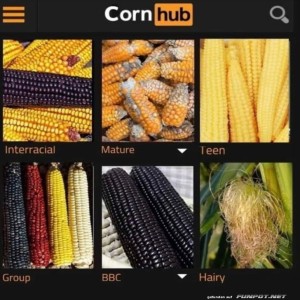 Erwachsene-Inhalte:-Corn-Edition.jpg von Nele68
