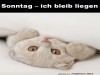 weiter