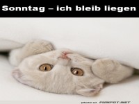 Sonntag