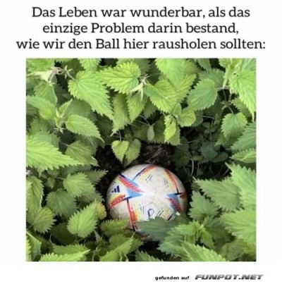 Der-Brennnessel-Ball-Ausflug.jpg von Brandon