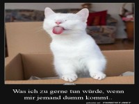 Das sieht lustig aus