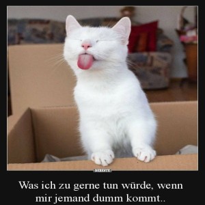 Das-sieht-lustig-aus.jpg von Michelle