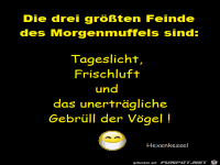 Die drei gr�ssten Feinde