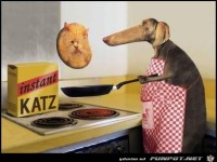 mahlzeit