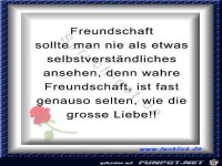 Freundschaft sollte man nie...