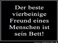 bester Freund.....