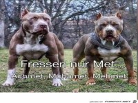 Fressen nur Met