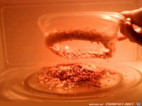 Mikrowellen-Pannen-16