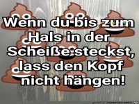 Echt scheisse
