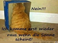 Ich komme erst raus, wenn die Sonne scheint