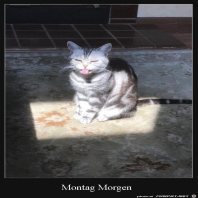 Montag-Morgen.jpg von Emilia