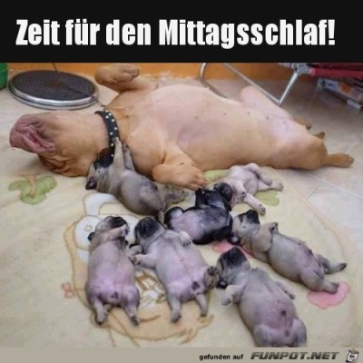 Erst-mal-Mittagsschlaf.jpg von Lina