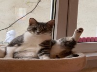 Herr Lehrer, ich wei� was