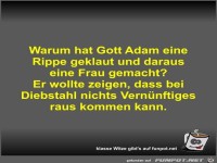 Warum hat Gott Adam eine Rippe geklaut und daraus eine Frau