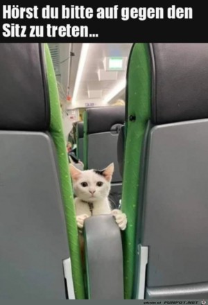 Tritt-nicht-gegen-den-Sitz.jpg auf www.funpot.net