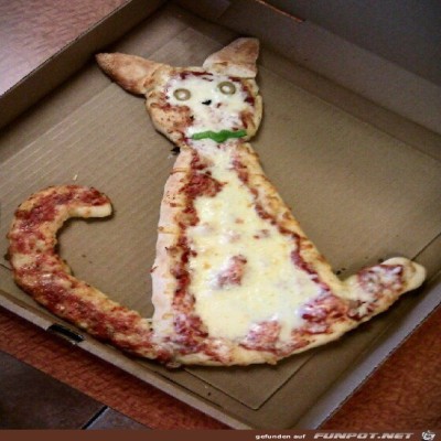 Katzen-Pizza.jpg von Lillian