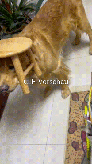 Das ist mein Hocker