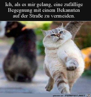 Stolz-wie-Bolle.jpg auf www.funpot.net