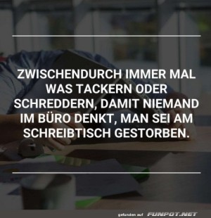Guter-Plan.jpg auf www.funpot.net