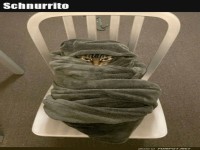 Ein Schnurrito