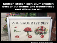 Blumenalarm: Die Wut-Pflanzen-Skala!