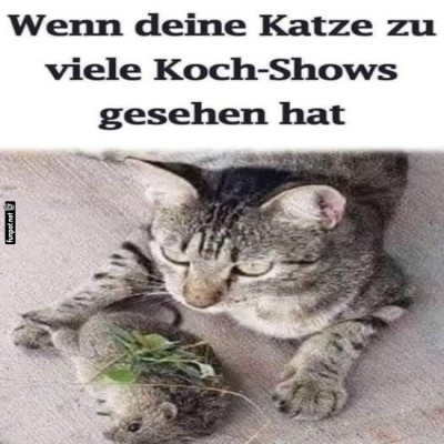 Katzen-Chefkoch-am-Werk!.jpg von Josefin