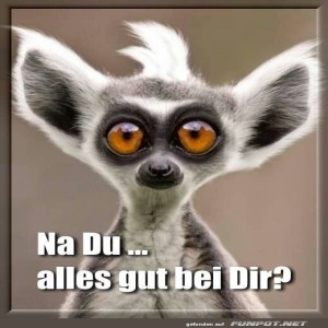 Wenn-der-Lemur-mehr-wei�-als-du-denkst.jpg von Gabriel
