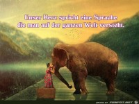 Sprache des Herzens