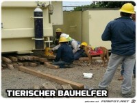 Bauhelfer