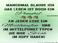 manchmal Glaube ich, das Leben ist doch ein Ponyhof.........