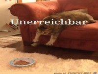 Da komme ich nicht ran