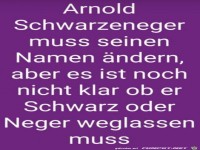 Schwarzeneger muss Name ndern